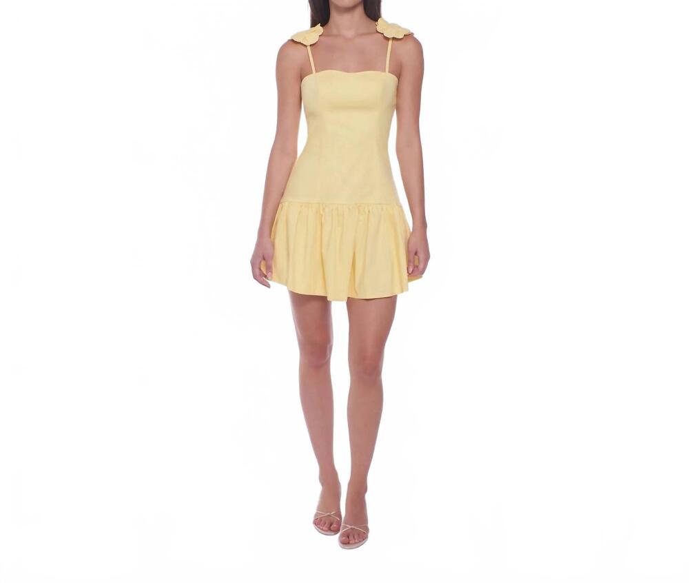 NEW PEIXOTO audrey mini dress in honeycomb